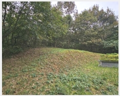  2024Ÿ22913 泲 ο  û۸ 5-4      (Ӿ)