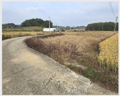  2024Ÿ22913 泲 ο  û۸ 5-4      (Ӿ)