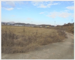  2024Ÿ22913 泲 ο  û۸ 5-4      (Ӿ)