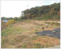  2024Ÿ22913 泲 ο  û۸ 5-4      (Ӿ)