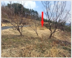  2024Ÿ��23251  �����