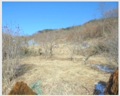  2024Ÿ��23251  �����