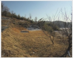  2024Ÿ��23251  �����