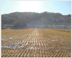  2024Ÿ��23251  �����