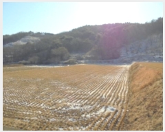  2024Ÿ��23251  �����