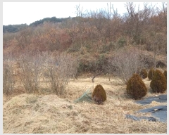  2024Ÿ��23251  �����