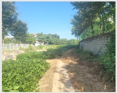  2024Ÿ��4567 �泲 õ�Ƚ� ���ϱ� ��ȯ�� ������ 276-1     ����(��1)���