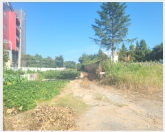  2024Ÿ��4567 �泲 õ�Ƚ� ���ϱ� ��ȯ�� ������ 276-1     ����(��1)���