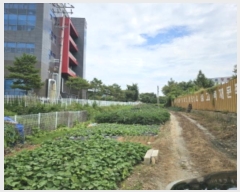  2024Ÿ��4567 �泲 õ�Ƚ� ���ϱ� ��ȯ�� ������ 276-1     ����(��1)���