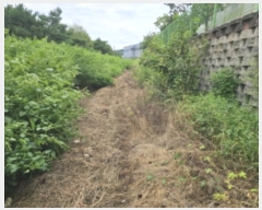  2024Ÿ��4567 �泲 õ�Ƚ� ���ϱ� ��ȯ�� ������ 276-1     ����(��1)���