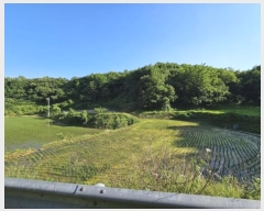  2024Ÿ��106913 �泲 õ�Ƚ� ������ ���� ȭ���� 581-1     ����(�Ӿ�)���