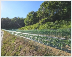  2024Ÿ��106913 �泲 õ�Ƚ� ������ ���� ȭ���� 581-1     ����(�Ӿ�)���