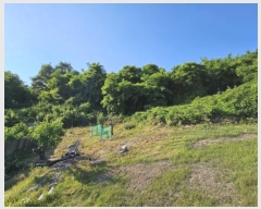  2024Ÿ��106913 �泲 õ�Ƚ� ������ ���� ȭ���� 581-1     ����(�Ӿ�)���