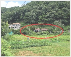  2024Ÿ109608 泲 ƻ ŵ 167-1       ()