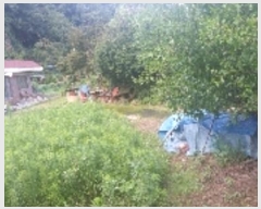  2024Ÿ109608 泲 õȽ    602-1     ð