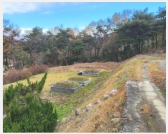  2024Ÿ115276 泲 ƻ  ö 317-12      (1)