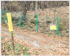  2024Ÿ115276 泲 ƻ  ö 317-12      (1)