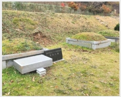  2024Ÿ115276 泲 ƻ  ö 431      ð