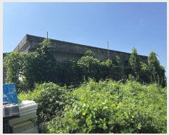  2024Ÿ4338 泲 õȽ  õ  257-68     ð