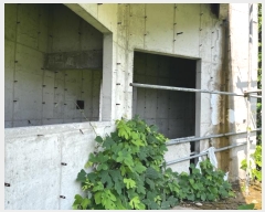  2024Ÿ4338 泲 õȽ  õ  257-68     ð