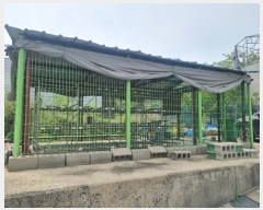  2024Ÿ��105224 �泲 �ƻ�� ���θ� ��ȭ�� 361-11      ������