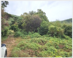  2024Ÿ��113270 �泲 õ�Ƚ� ������ ��õ�� ������ ��86-7     ����(�Ӿ�)���