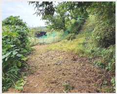  2024Ÿ��113270 �泲 õ�Ƚ� ������ ��õ�� ������ ��86-7     ����(�Ӿ�)���