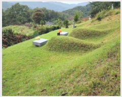  2024Ÿ��113270 �泲 õ�Ƚ� ������ ��õ�� ������ ��86-7     ����(�Ӿ�)���