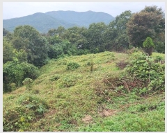  2024Ÿ��113270 �泲 õ�Ƚ� ������ ��õ�� ������ ��86-7     ����(�Ӿ�)���