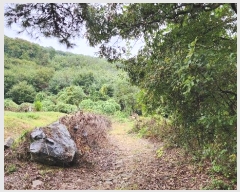  2024Ÿ��113270 �泲 õ�Ƚ� ������ ��õ�� ������ ��86-7     ����(�Ӿ�)���