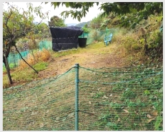  2024Ÿ��113270 �泲 õ�Ƚ� ������ ��õ�� ������ ��86-7     ����(�Ӿ�)���