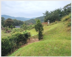  2024Ÿ��113270 �泲 õ�Ƚ� ������ ��õ�� ������ ��86-7     ����(�Ӿ�)���