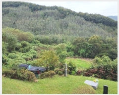  2024Ÿ��113270 �泲 õ�Ƚ� ������ ��õ�� ������ ��86-7     ����(�Ӿ�)���