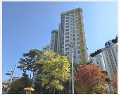  2024Ÿ114471 泲 ƻ   27, 1102 171701ȣ (õȾƻ꿪 )  Ʈ