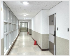  2024Ÿ116798 泲 ƻ   177-10, 111102ȣ (Ÿǽ)    ǽڰ