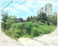  2024Ÿ��110745 �泲 õ�Ƚ� ������ û���� 182      ����(����)���