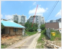  2024Ÿ��110745 �泲 õ�Ƚ� ������ û���� 182      ����(����)���