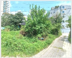  2024Ÿ��110745 �泲 õ�Ƚ� ������ û���� 182      ����(����)���