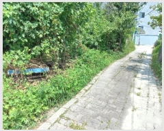  2024Ÿ��110745 �泲 õ�Ƚ� ������ û���� 182      ����(����)���