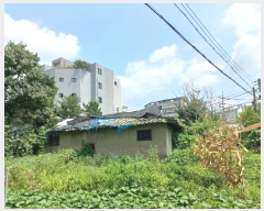  2024Ÿ��110745 �泲 õ�Ƚ� ������ û���� 182      ����(����)���