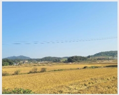  2024Ÿ��113645 �泲 �ƻ�� ���ָ� ���ϸ� 100-3      ����(��)���