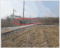  2024Ÿ��116866 �泲 õ�Ƚ� ������ ���Ÿ� ������ ��17-1     ����(�Ӿ�)���