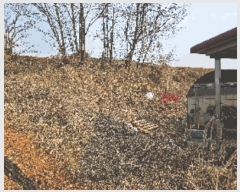  2024Ÿ��116866 �泲 õ�Ƚ� ������ ���Ÿ� ������ ��17-1     ����(�Ӿ�)���