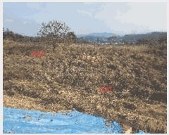  2024Ÿ��116866 �泲 õ�Ƚ� ������ ���Ÿ� ������ ��17-1     ����(�Ӿ�)���