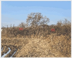  2024Ÿ��116866 �泲 õ�Ƚ� ������ ���Ÿ� ������ ��17-1     ����(�Ӿ�)���