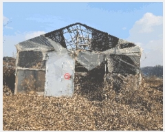  2024Ÿ��116866 �泲 õ�Ƚ� ������ ���Ÿ� ������ ��17-1     ����(�Ӿ�)���