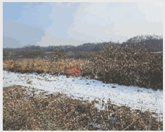  2024Ÿ��116866 �泲 õ�Ƚ� ������ ���Ÿ� ������ ��17-1     ����(�Ӿ�)���