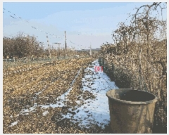  2024Ÿ��116866 �泲 õ�Ƚ� ������ ���Ÿ� ������ ��17-1     ����(�Ӿ�)���