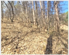  2024Ÿ��1452 �泲 õ�Ƚ� ������ ��õ�� ���׸� 328-2     ����(��1)���