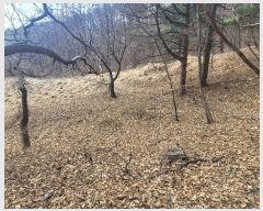  2024Ÿ��1452 �泲 õ�Ƚ� ������ ��õ�� ���׸� 328-2     ����(��1)���